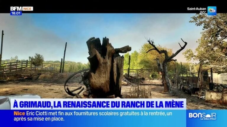 Le journal de 18h du vendredi 14 août 2026
