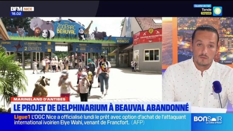 Le projet de delphinarium abandonné à Beauval.. Quel avenir pour les dauphins de Marineland ?