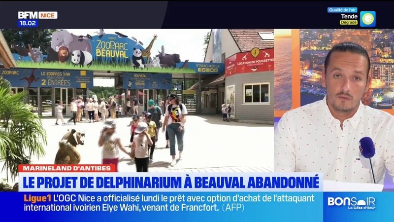 Le projet de delphinarium abandonné à Beauval.. Quel avenir pour les dauphins de Marineland ?