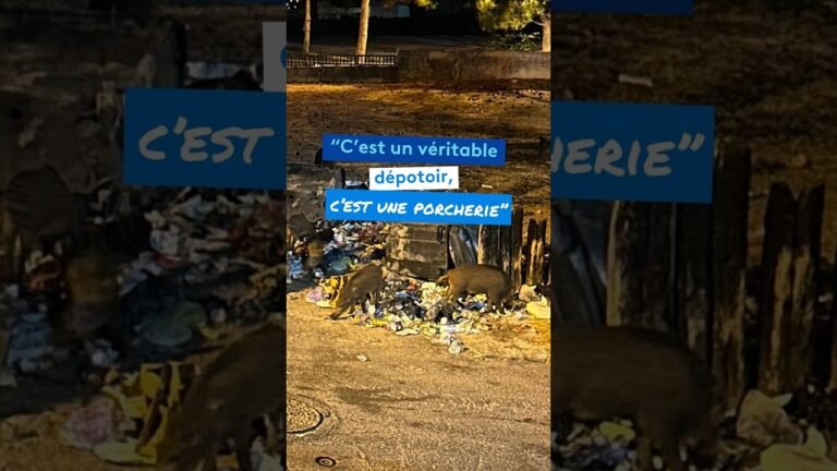 Le ras-le-bol des habitants : “C’est un véritable dépotoir, c’est une porcherie”