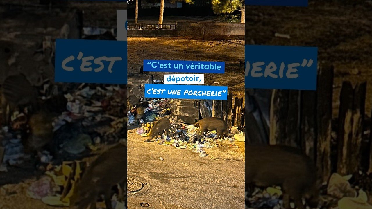 Le ras-le-bol des habitants : “C’est un véritable dépotoir, c’est une porcherie”
