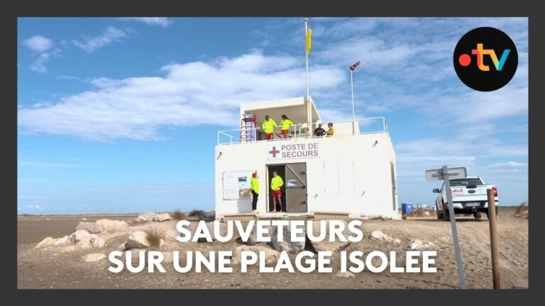 Le travail des sauveteurs sur une plage isolée