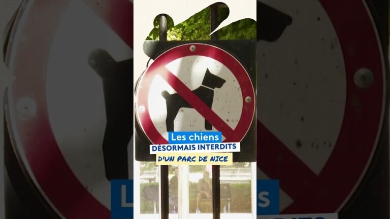 Les chiens désormais interdits dans ce jardin de Nice