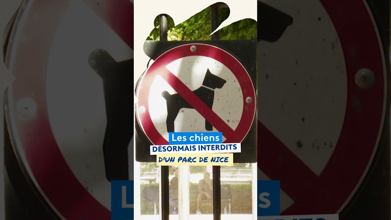 Les chiens désormais interdits dans ce jardin de Nice