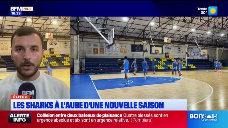 Les Sharks d&rsquo;Antibes à l&rsquo;aube d&rsquo;une nouvelle saison