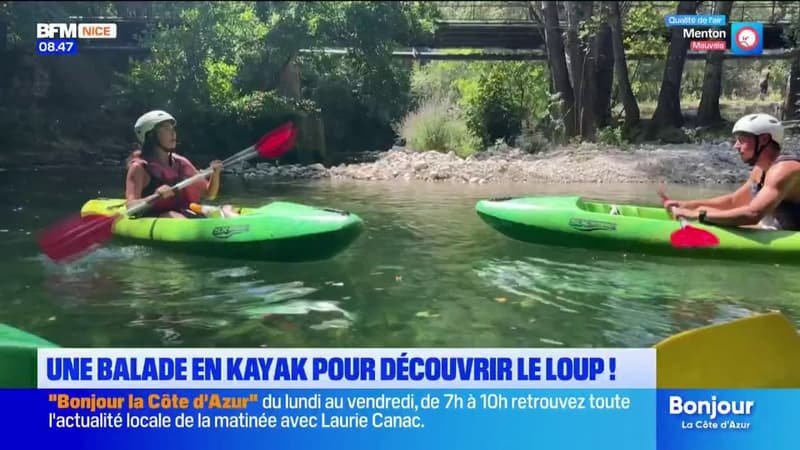 L&rsquo;été chez nous : découvrir le Loup à travers une balade en kayak