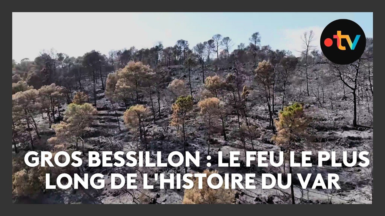 L&rsquo;incendie du Gros Bessillon est le feu le plus long de l&rsquo;histoire du département du Var