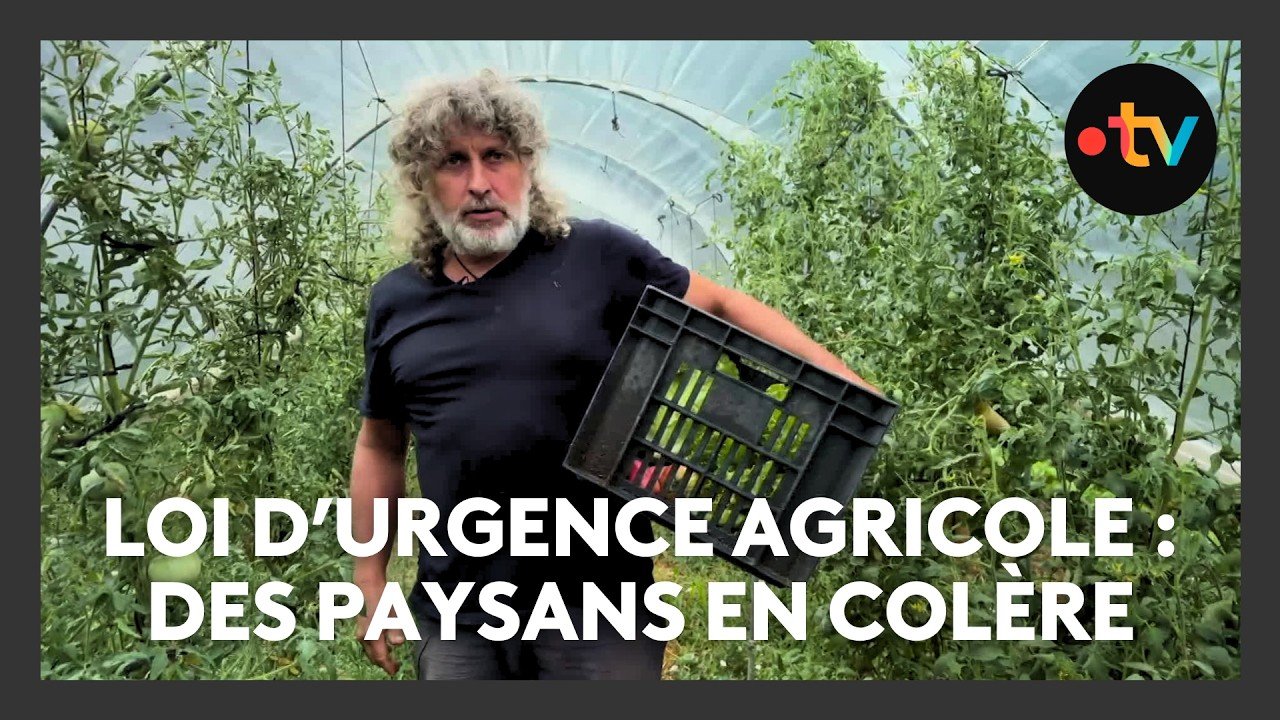 Loi d’urgence agricole : des paysans s&rsquo;opposent au texte qui favoriserait l’agriculture intensive