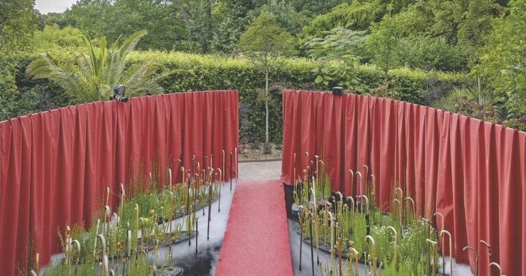 Loir-et-Cher : un festival de cannes à Chaumont-sur-Loire