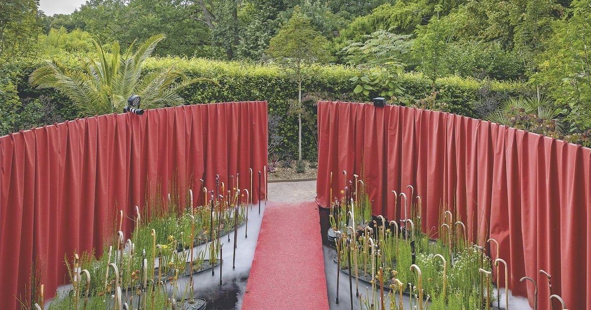 Loir-et-Cher : un festival de cannes à Chaumont-sur-Loire