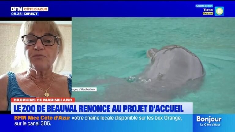 Marineland : L&rsquo;association « C&rsquo;est assez » se satisfait de l&rsquo;abandon du projet delphinarium à Beauval