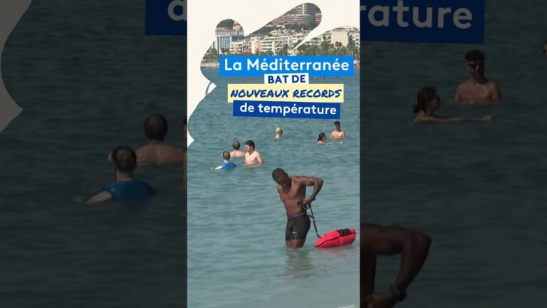 Mer Méditerranée en surchauffe cet été 2026, scientifiques et baigneurs inquiets sur la Côte d’Azur