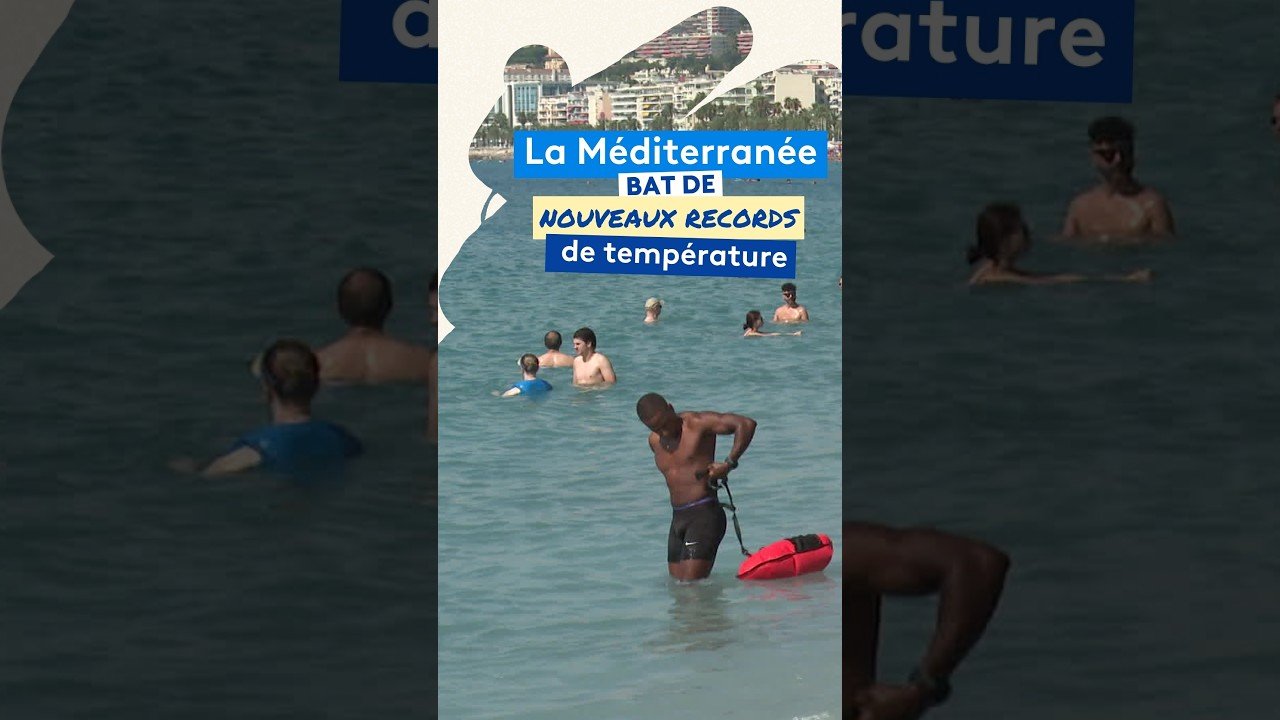 Mer Méditerranée en surchauffe cet été 2026, scientifiques et baigneurs inquiets sur la Côte d’Azur