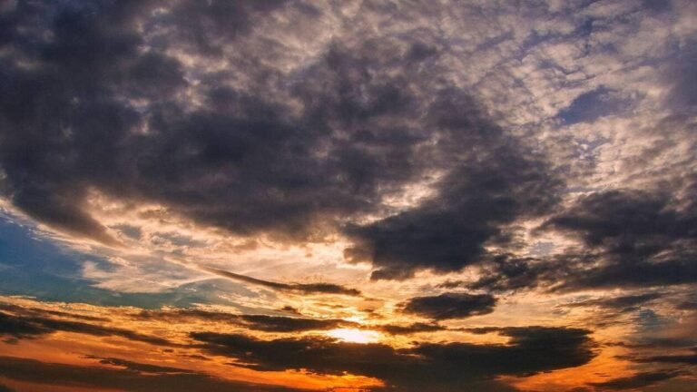 Météo. Les prévisions météorologiques du vendredi 28 août 2026 à Cannes et ses environs