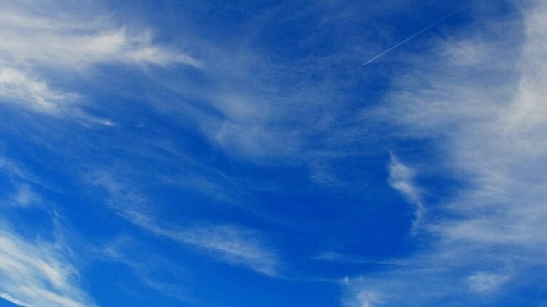 Météo. Quel temps fera-t-il à Cannes et ses environs le dimanche 23 août 2026 ?