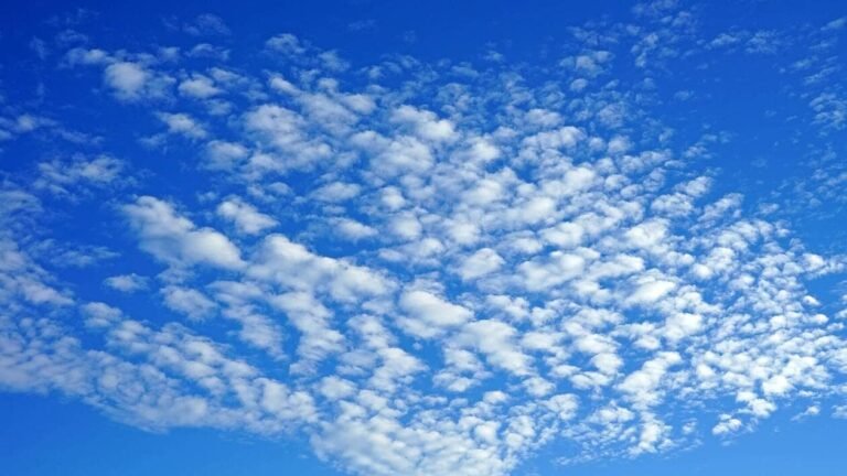 Météo. Quel temps fera-t-il à Cannes et ses environs le mardi 11 août 2026 ?