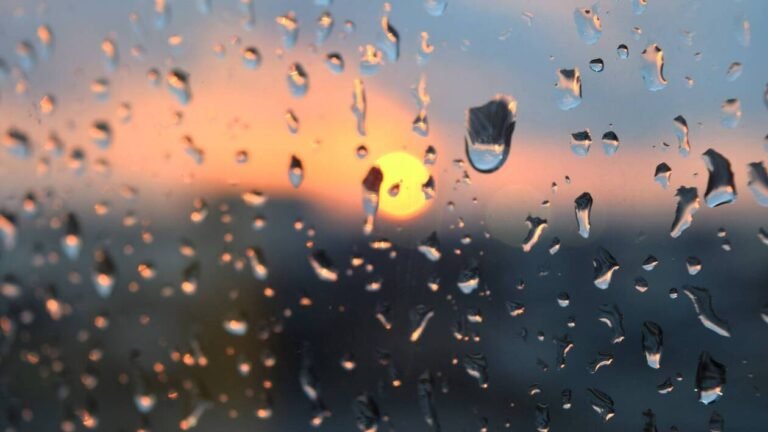 Météo. Quel temps fera-t-il à Cannes et ses environs le vendredi 21 août 2026 ?