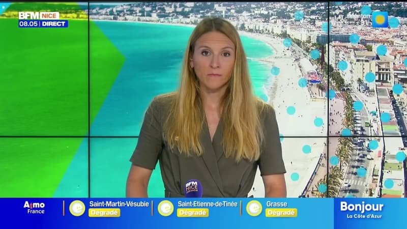 Petite parenthèse enchantée pour les toutous sur la Côte d&rsquo;Azur