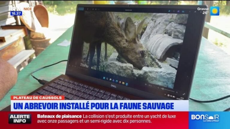 Plateau de Caussols : un abreuvoir installé pour la faune sauvage
