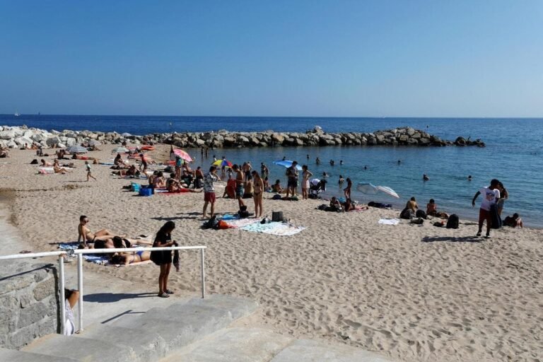 « Quand je suis sorti de l’eau, j’ai vu du sang partout » : à Cannes, un nonagénaire raconte comment il a été attaqué par des poissons lors de sa baignade