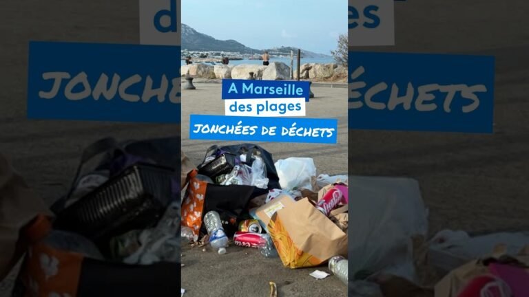 « Tous les matins, c&rsquo;est dégueulasse » : l&rsquo;accumulation de déchets sur les plages excède