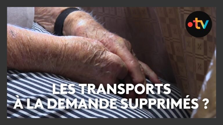 Transports à la demande : les plus vulnérables s&rsquo;inquiètent de la suppression de ce service public