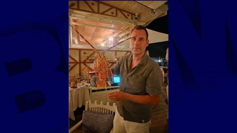 « Un choc immédiat »: un défenseur des animaux achète une langouste 300 euros dans un restaurant et la relâche vivante