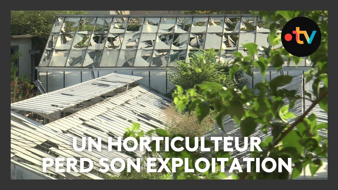 Un horticulteur victime de la grêle perd son exploitation
