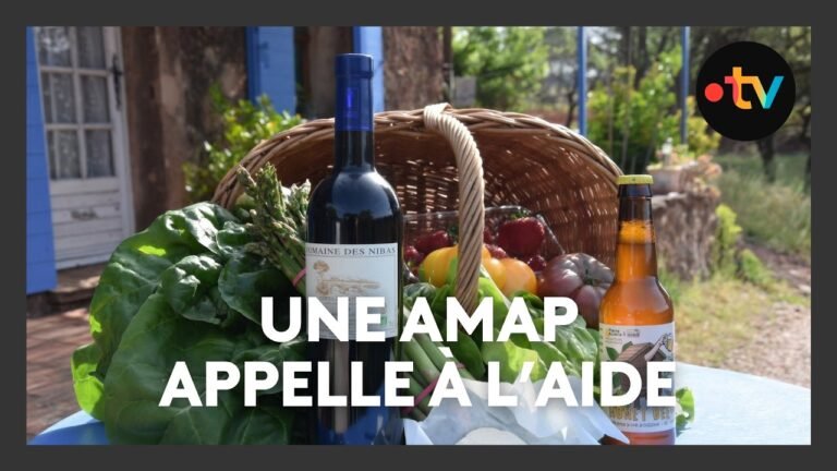 Une Amap en danger appelle à la solidarité pour tenter de poursuivre son activité