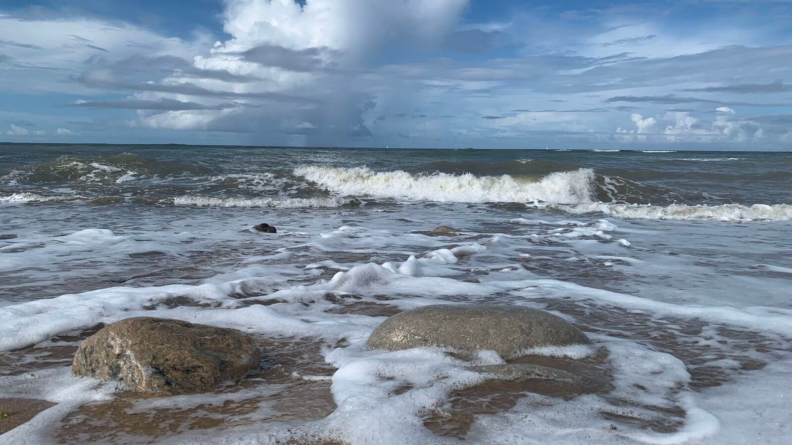 Une baigneuse de 94 ans mordue jusqu’au sang « en rentrant dans l’eau » à Cannes