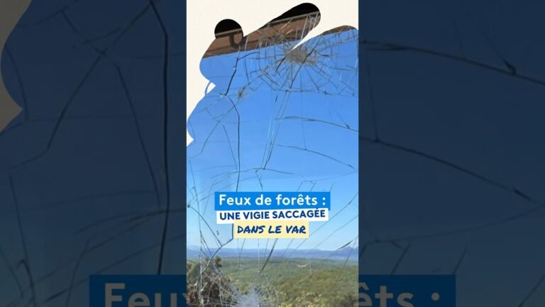 Une vigie qui sert à prévenir les incendies, saccagée dans cette commune du Var
