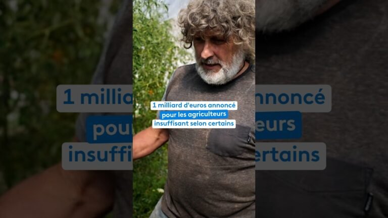 1 milliard d&rsquo;euros annoncé pour les agriculteurs, insuffisant selon certains