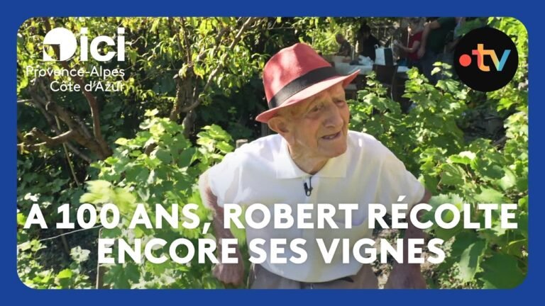 À 100 ans, il récolte encore ses vignes : la belle histoire de Robert, vigneron passionné