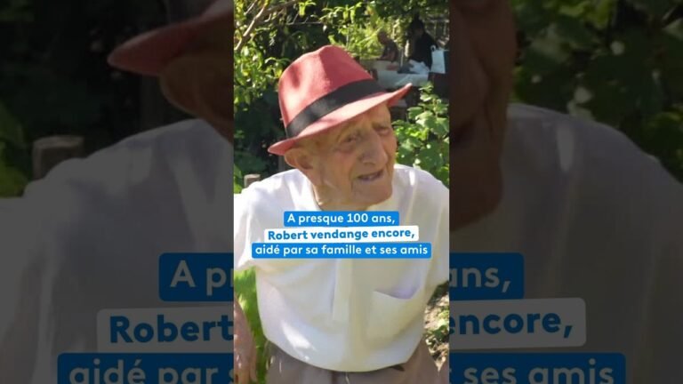 À presque 100 ans, Robert vendange encore, aidé par sa famille et ses amis