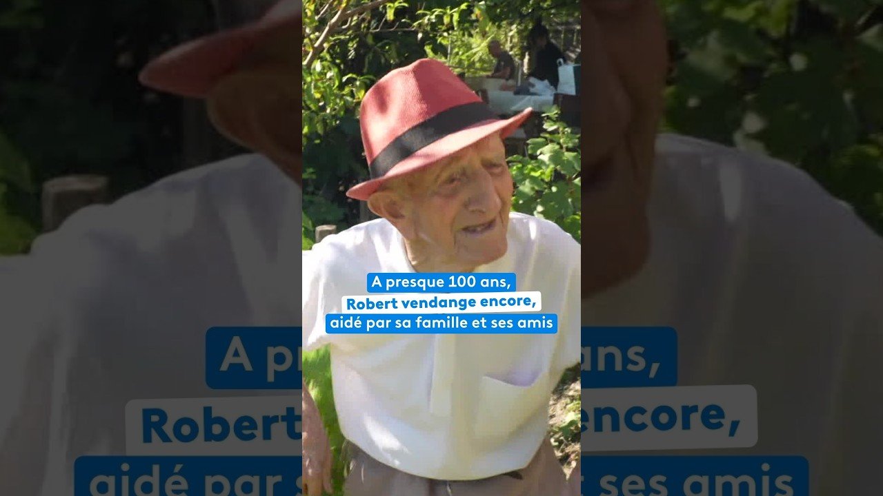 À presque 100 ans, Robert vendange encore, aidé par sa famille et ses amis
