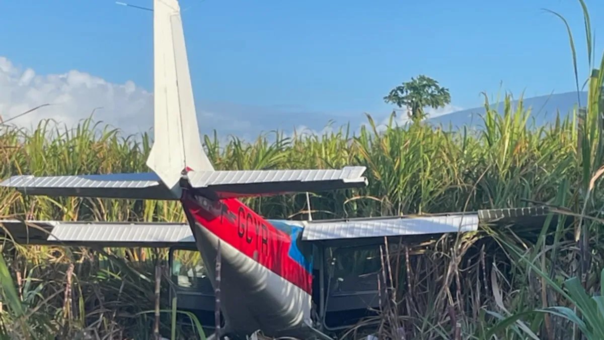 Bras-Panon : un petit avion se pose en urgence dans un champ de cannes