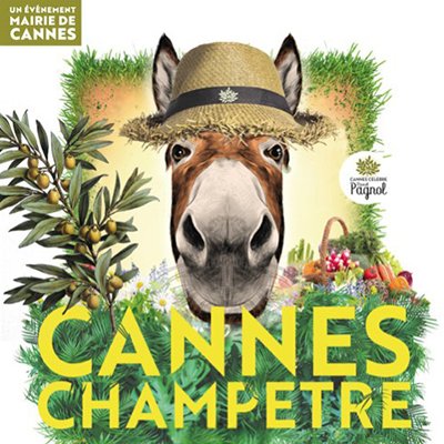 Cannes champêtre : une journée au cœur du patrimoine agricole cannois