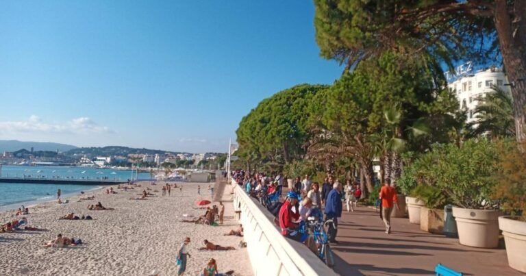 Cannes : début des grands travaux de réfection de la Croisette le 19 octobre
