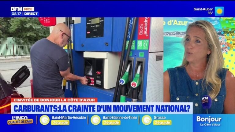 Carburants: Alexandra Borchio Fontimp propose la suppression des certificats d&rsquo;énergie