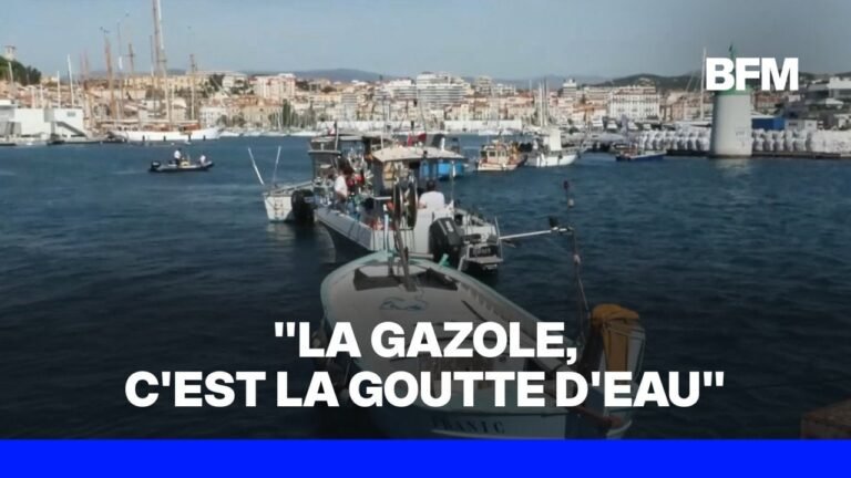 Carburants: « Très en colère », des pêcheurs bloquent le port de Cannes