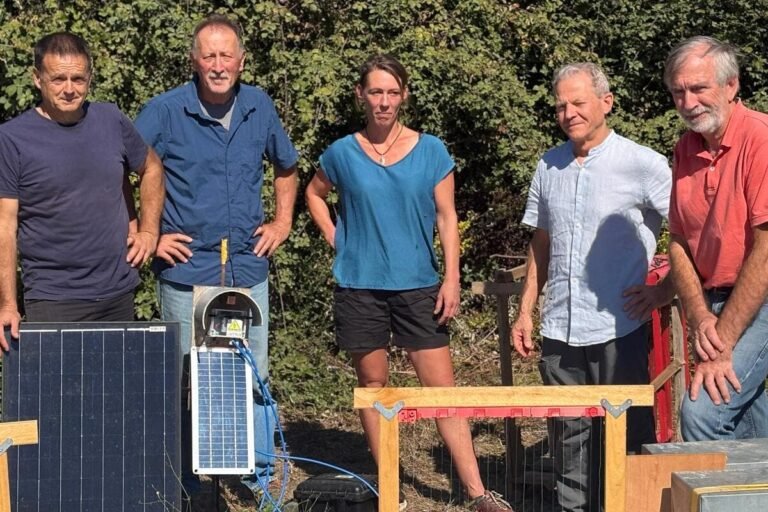 « C’est un petit espoir, même s’il est encore trop coûteux et pas simple à mettre en place » : à Cannes, les apiculteurs azuréens testent une « harpe électrique » contre le frelon asiatique