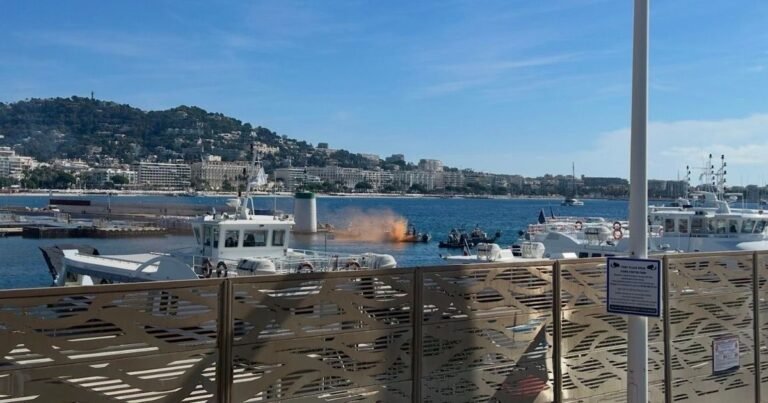 « C’est un ras-le-bol général ». Des pêcheurs de Cannes bloquent l’accès au vieux port
