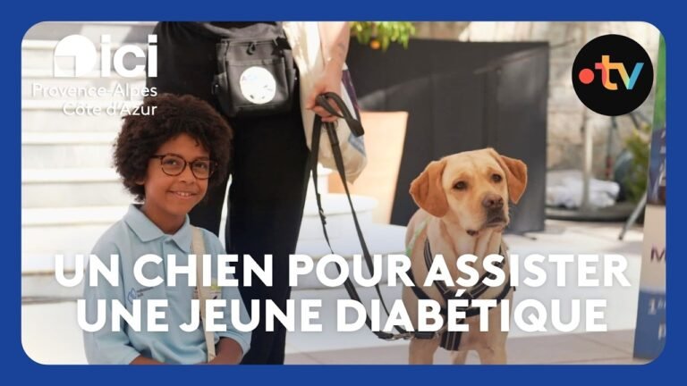 Cette petite fille diabétique vit avec un chien d&rsquo;assistance qui détecte ses variations de glycémie
