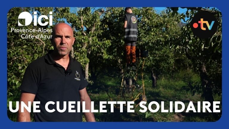 Cueillette solidaire de pommes et poires pour les associations d&rsquo;aide alimentaire