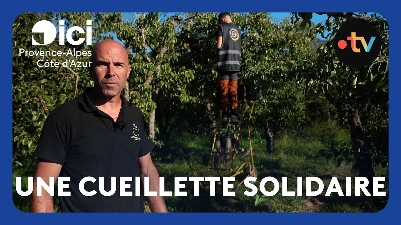 Cueillette solidaire de pommes et poires pour les associations d&rsquo;aide alimentaire