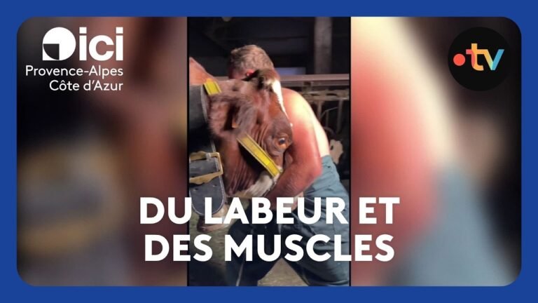 De jeunes agriculteurs reprennent les codes de l&rsquo;Hyrox, la vidéo cartonne sur les réseaux