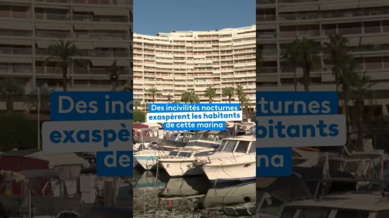 Des incivilités nocturnes exaspèrent les habitants de cette marina sur la Côte d&rsquo;Azur