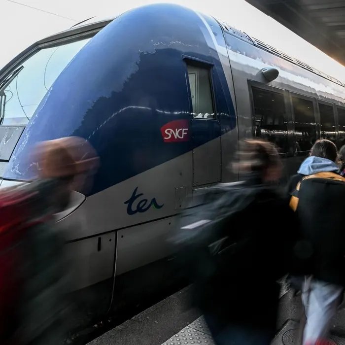 Des voyageurs alertent sur la présence de punaises de lit dans des TER des Alpes-Maritimes, la SNCF réagit  (Ouest-France)