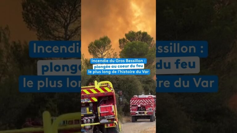Incendie du Gros Bessillon : plongée au cœur du feu le plus long de l&rsquo;histoire du Var