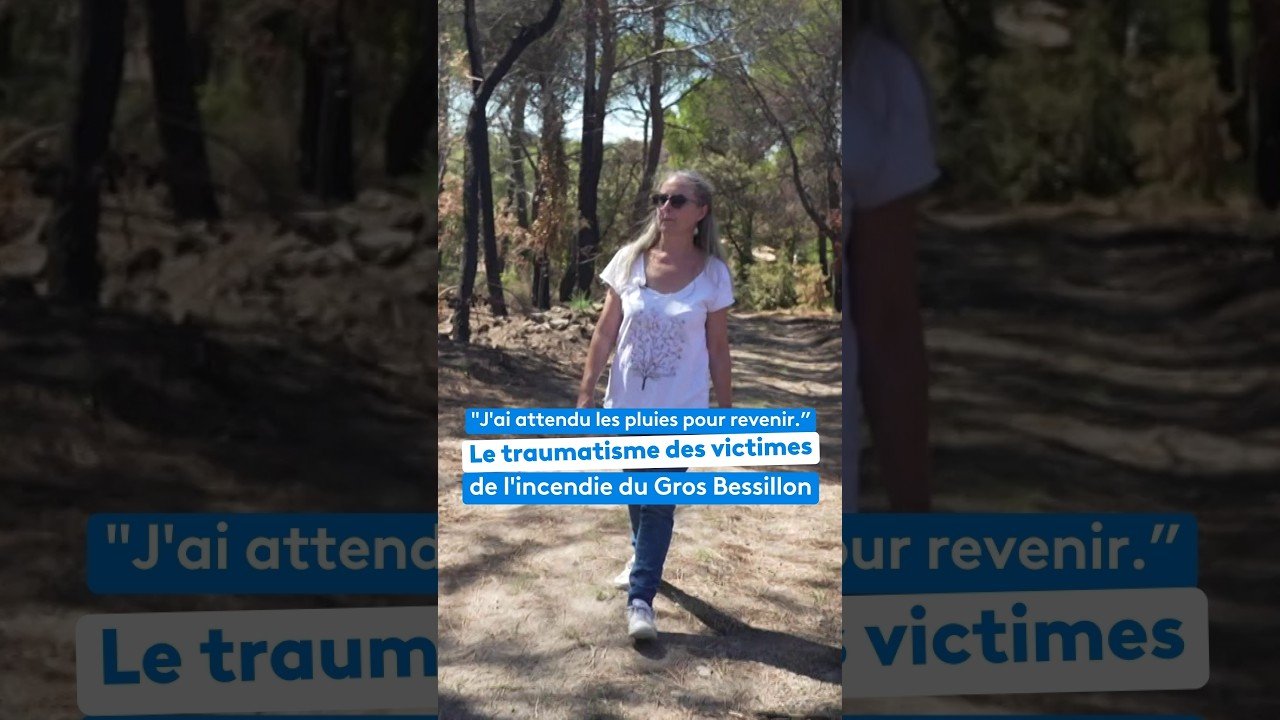 « J&rsquo;ai attendu les pluies pour revenir. » Le traumatisme des victimes de l&rsquo;incendie du Gros Bessillon